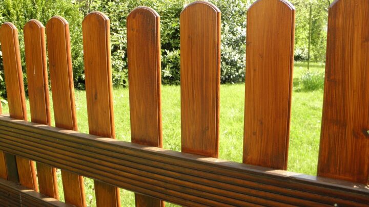 Wann ist es sinnvoll, einen Garten einzuzäunen?